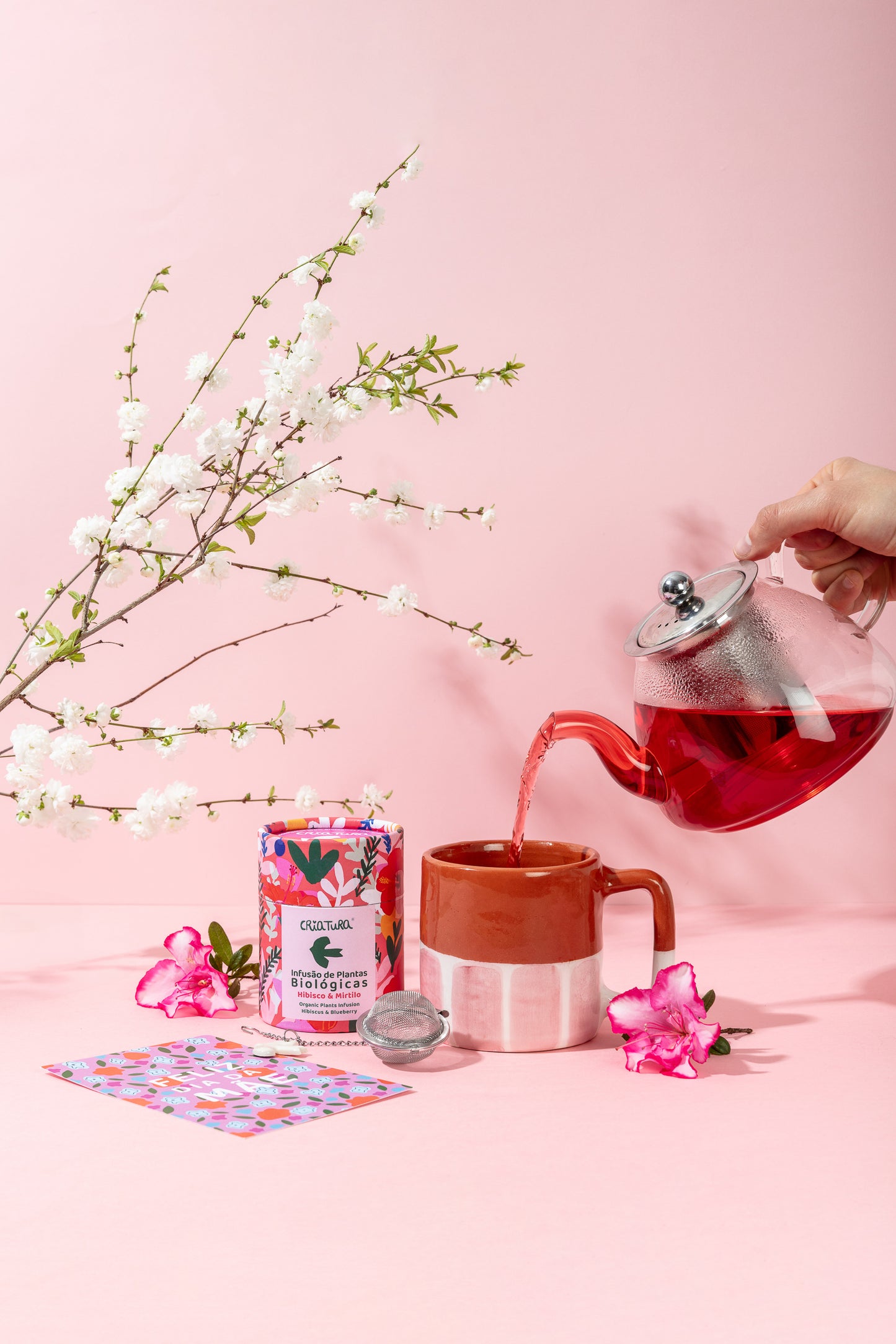 Box "GARDEN IN A CUP"- Edição Limitada