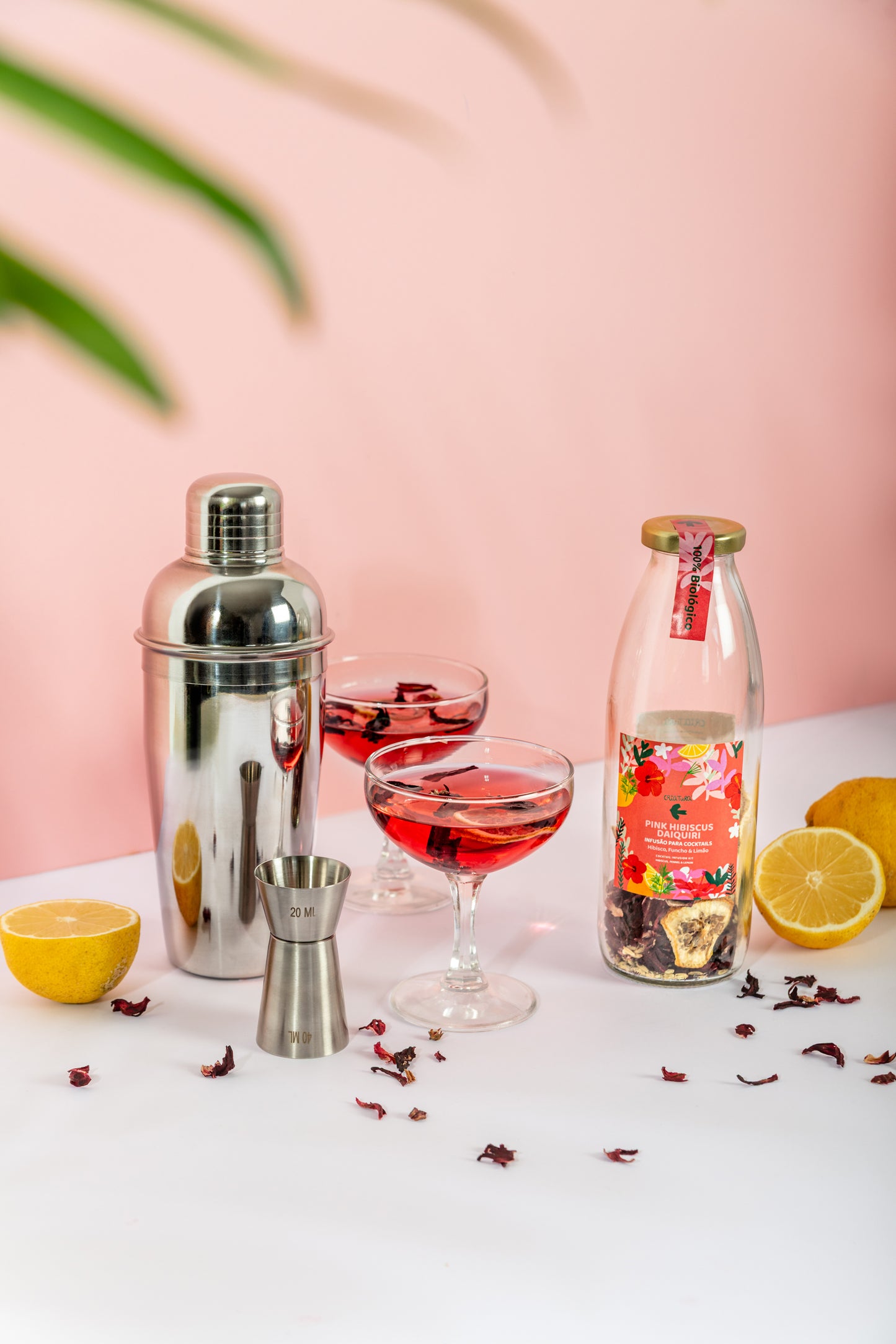 Jungle Mixer – Kit Daiquiri biológico Criatura – Presente de Natal