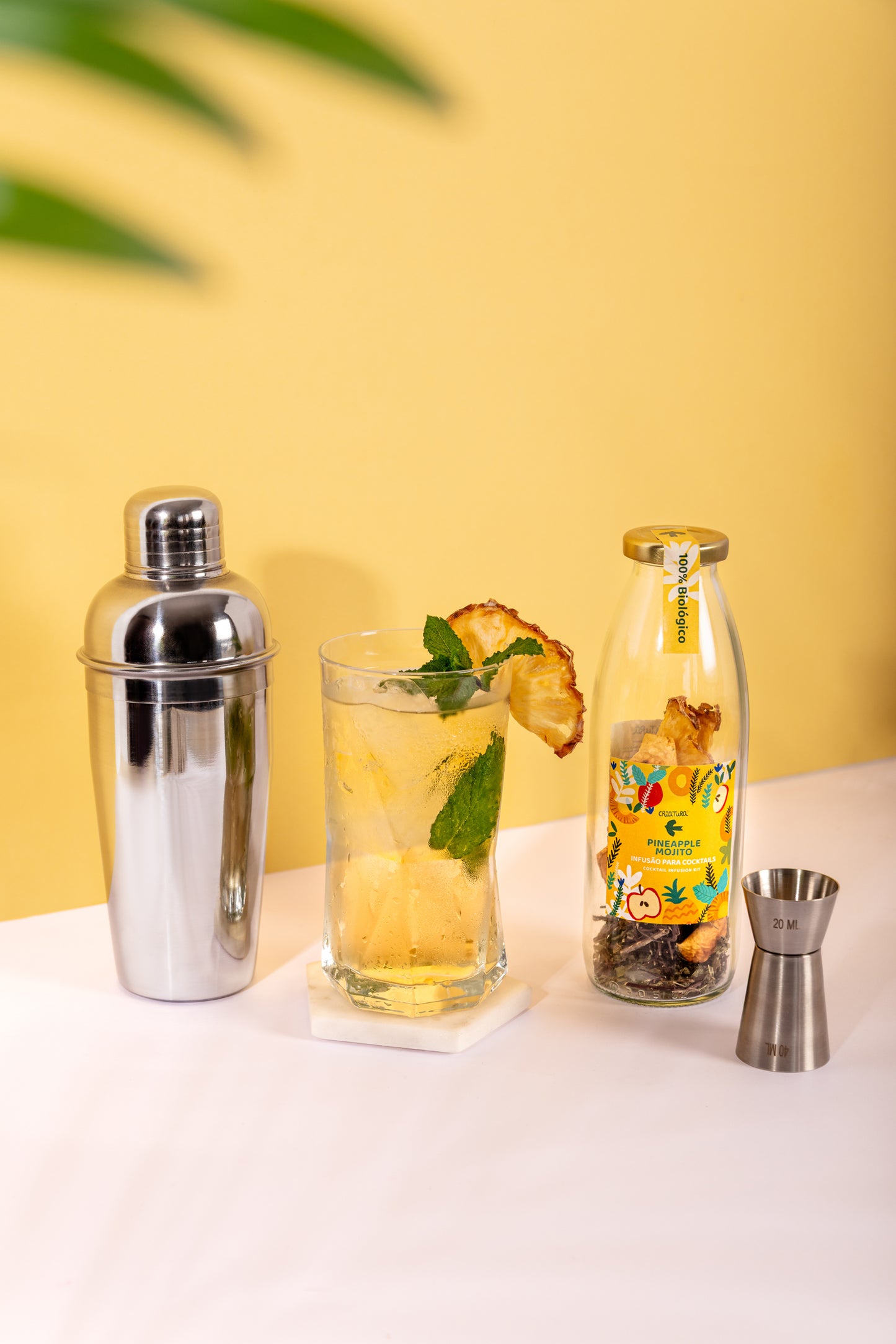 Jungle Mixer – Kit Mojito biológico Criatura – Presente de Natal