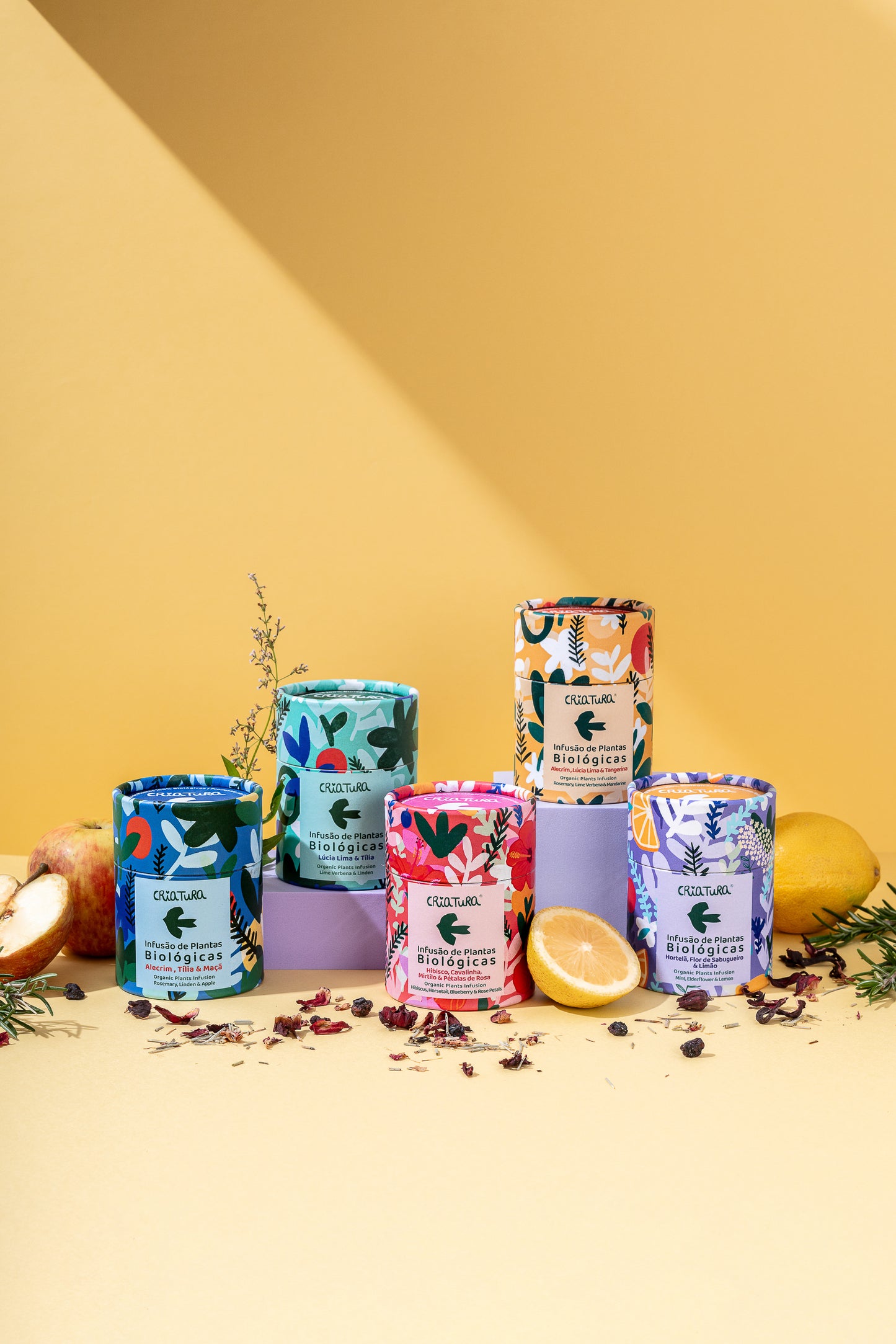 Kit Criatura com 5 infusões biológicas diferentes – presente de Natal ideal para amantes de chá