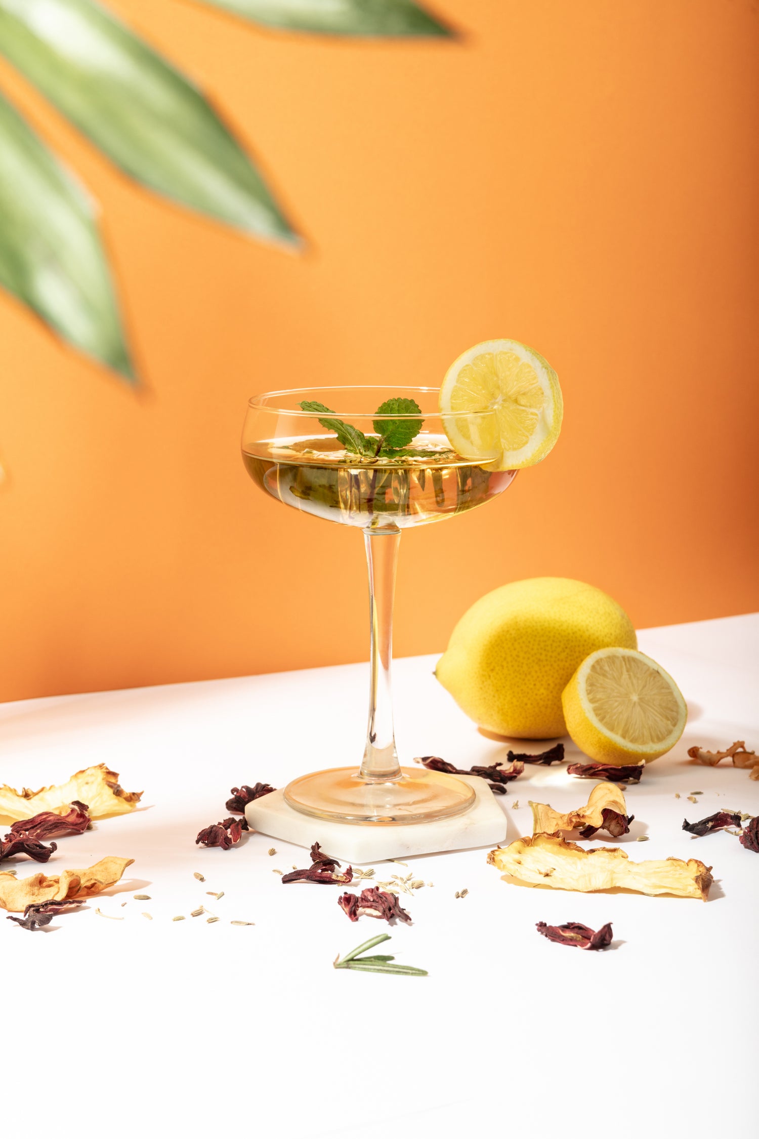 Receita Cocktail Gimlet 