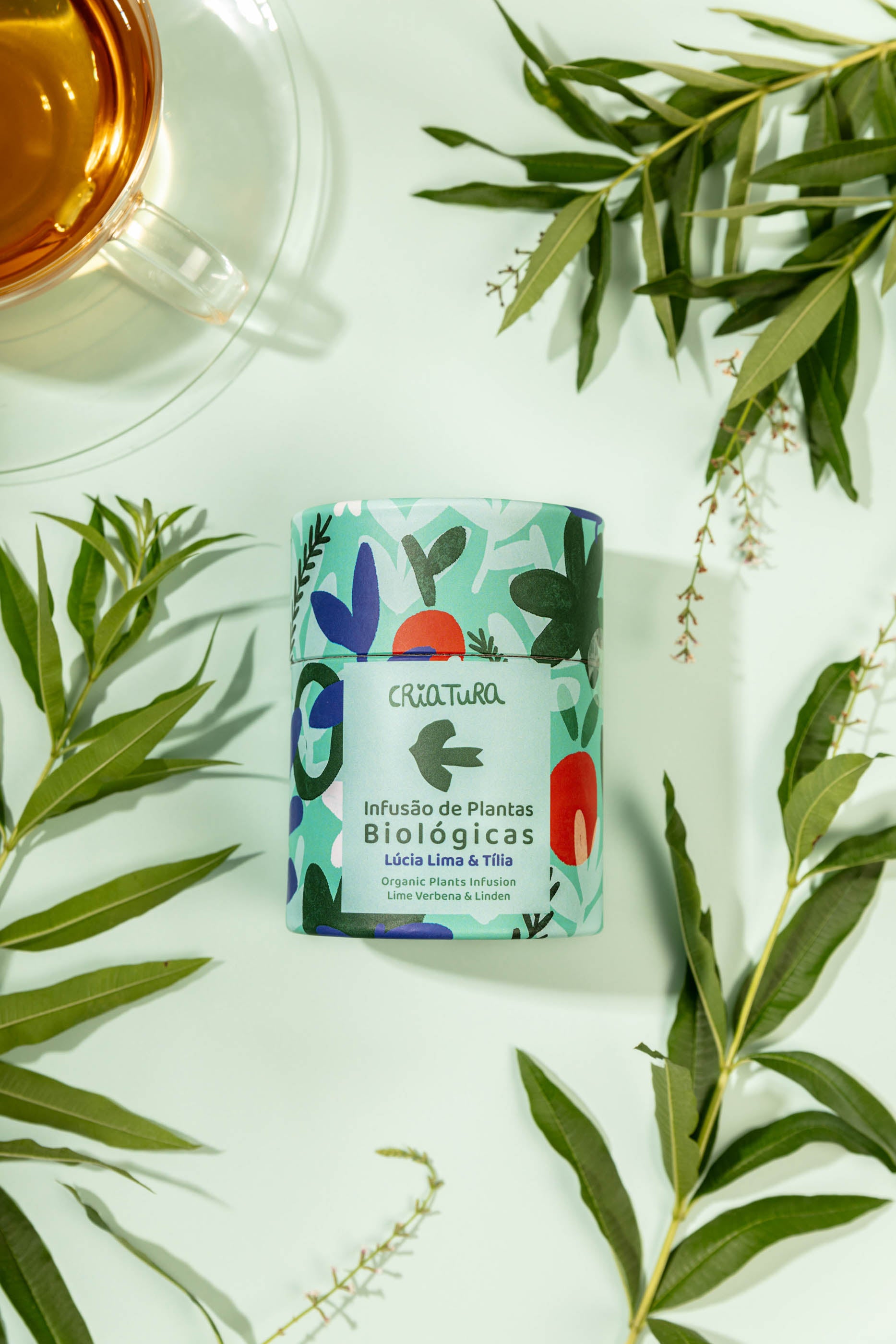 Infusão biológica Lúcia Lima e Tília Criatura – Presente de Natal