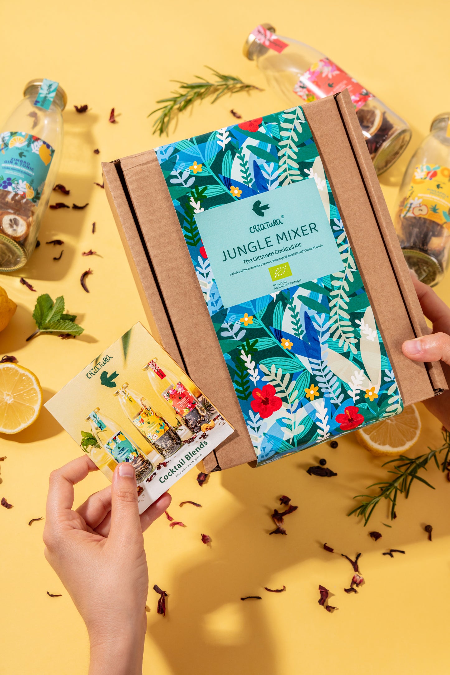 Jungle Mixer – Kit Daiquiri biológico Criatura – Presente de Natal