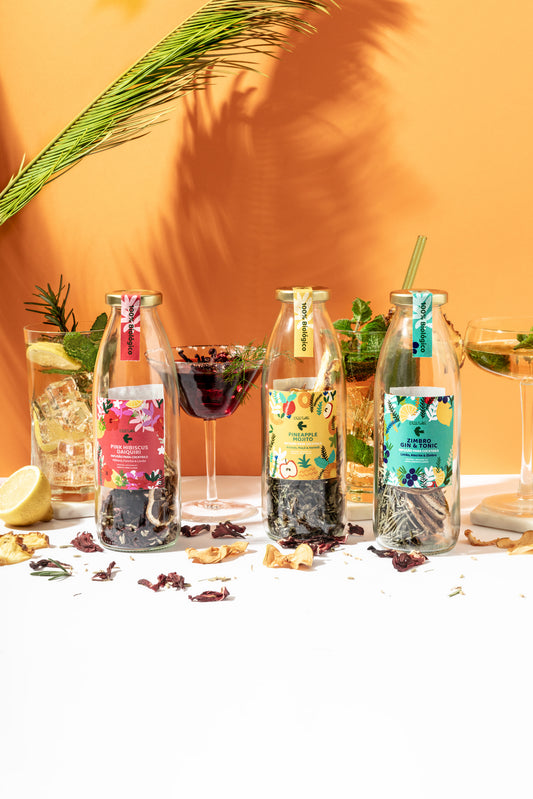 Kit de Cocktails Criatura – Infusões biológicas para gin, rum ou vodka – Presente de Natal