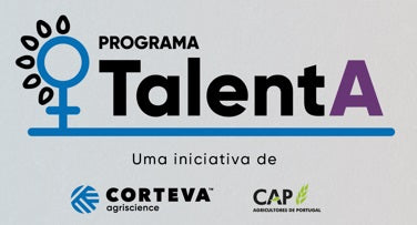 prémio talenta- 4ª edição